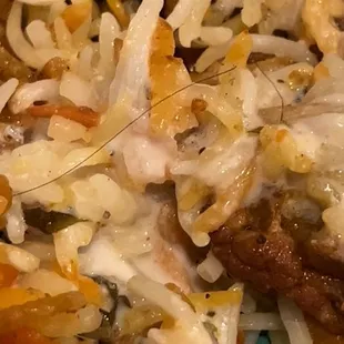 Hair in Veg Dum Biryani