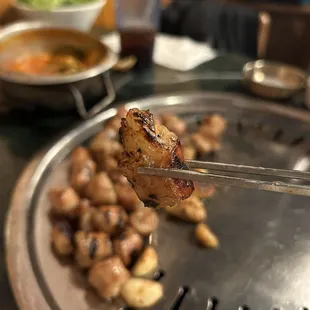 Large Intestines