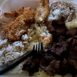 Katsu and Beef Combo