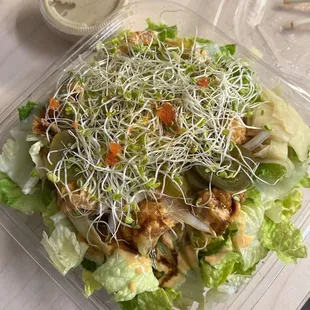 Thunder salad with sesame salad dressing. This salad is really huge and so good..it can be for 2 people.