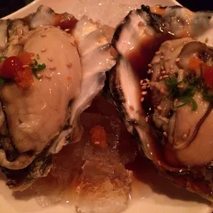 Oysters