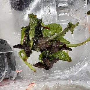 a salad in a plastic container