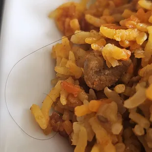 Hair in chicken biryani