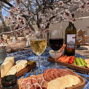 Springtime under the blooming apricot trees in the garden!
