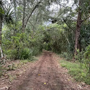 Paved trail to water tower.