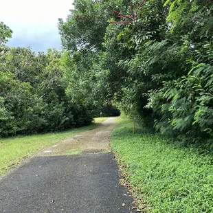 Walk up to trail head