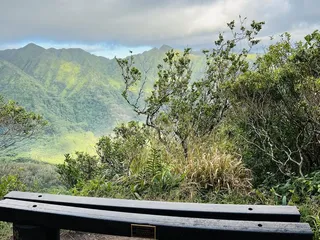 Makiki-Manoa Cliffs Hike