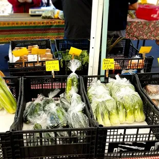  variety of vegetables