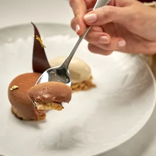 Cioccolato
chocolate mousse, hazelnut, espresso, toasted brioche gelato