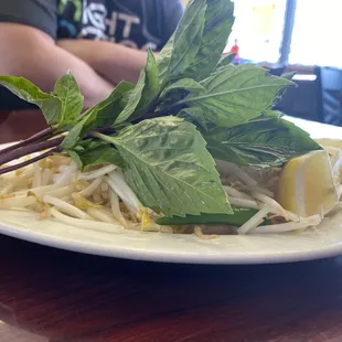 Herbs for pho. Thai basil, bean sprouts, lemon and hot chili pepper.