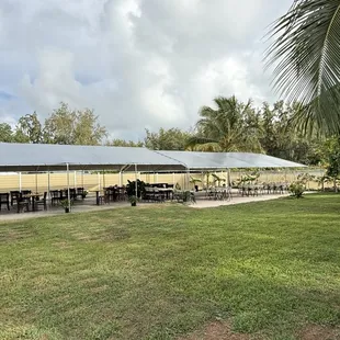eat in a covered back yard area surrounded by grass and trees