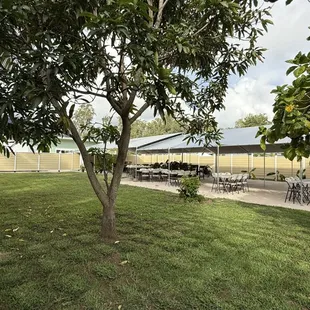 lovely green garden with plenty of covered seating