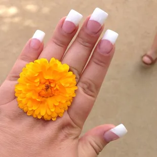 Ai does the best pink &amp; whites! Been going here for years, this is my first choice for acrylics!