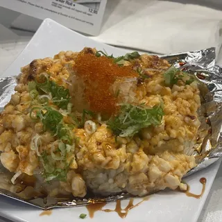 Volcanic Scallop