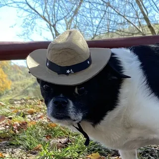 Bonnie L.