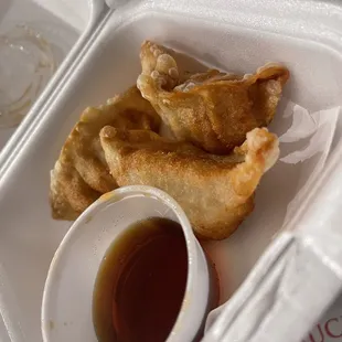 Gyoza