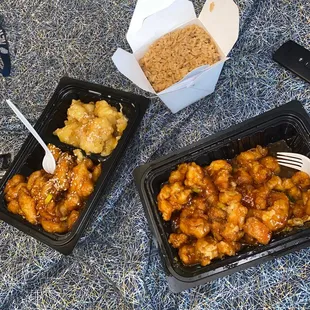 Sesame double delight and generals chicken