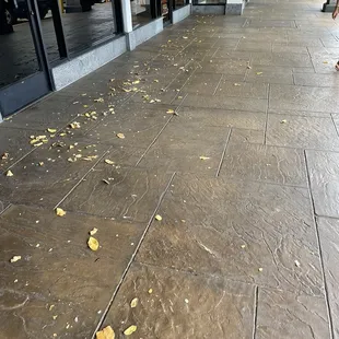 Middle of the day 12 noon leaves everywhere