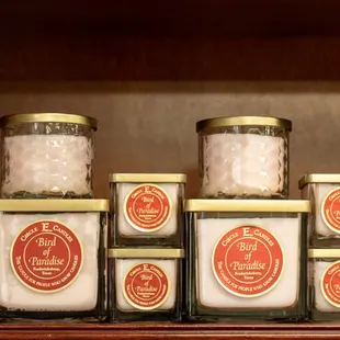 Bird of Paradise- our #1 seller!