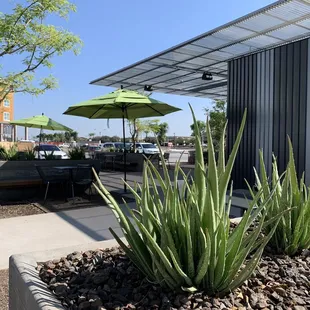 NW of Higley and Ray