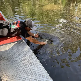 Captain Tik Tok playing with Rex
