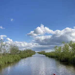 The bayou was gorgeous!