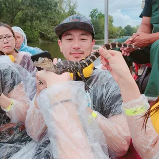 Al(ice) the alligator