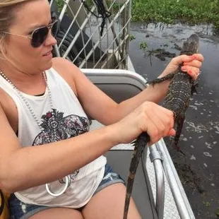 Come hold a baby gator!