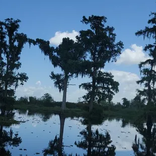 Can't believe we waited so long to get out here. Look what we were missing.