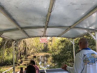 Ultimate Swamp Adventures