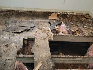 Absolute Handyman Services