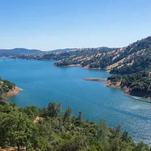 a lake surrounded by trees