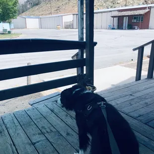 They welcome two and four legged friends.