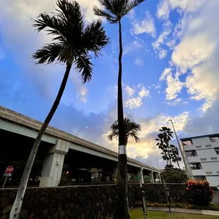 Sunrise out the exit driveway