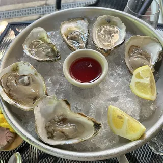 Oysters   Lunch
