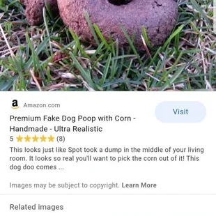 This describes this place to the max