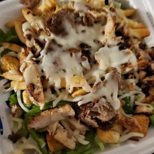 Steak and chicken salad