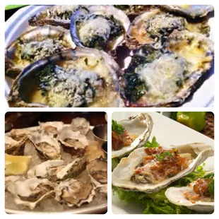 Oysters Rockefeller and Steamed Oysters