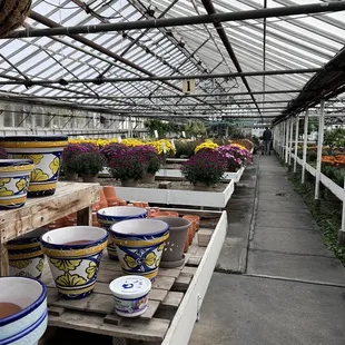 Interior of greenhouse