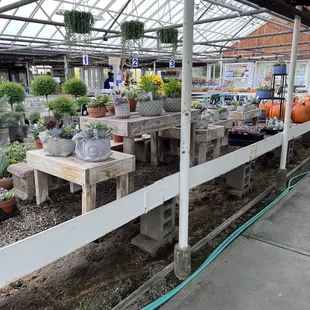 Interior of greenhouse