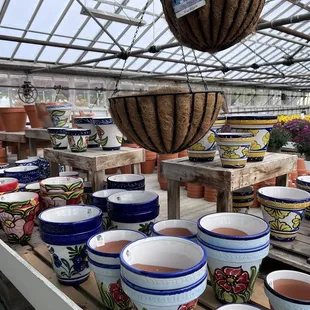 Interior of greenhouse