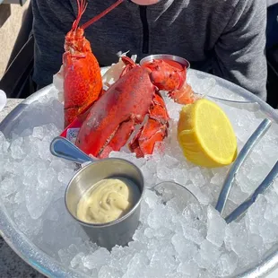 1/2 Maine Lobster