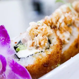 a closeup of a sushi roll