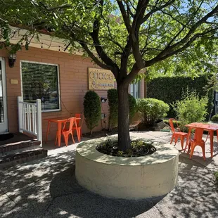 ramen and noodles, outside