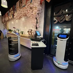 interior, sushi and sashimi