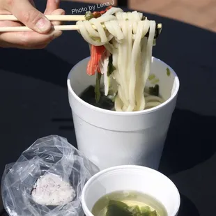 Takeout Kamogawa Udon ($8.50) - duck meat and mountain vegetables