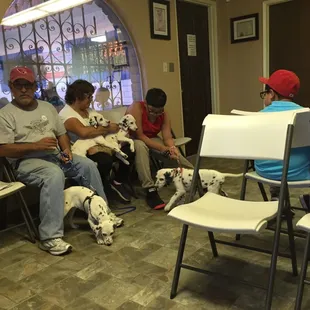 Puppies all up in this place