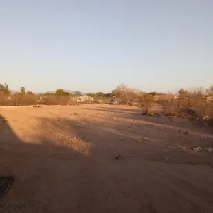 Clearing a lot for one of our clients, thank you for your business again.