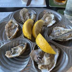 Raw oysters on the half shell