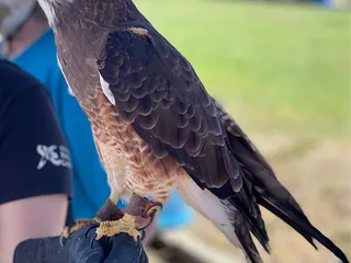 Effie Yeaw Nature Center